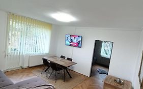 Vintage Gray Apartament
