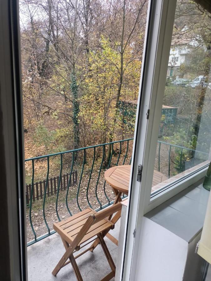 Vintage Gray Apartament Brașov Exterior foto