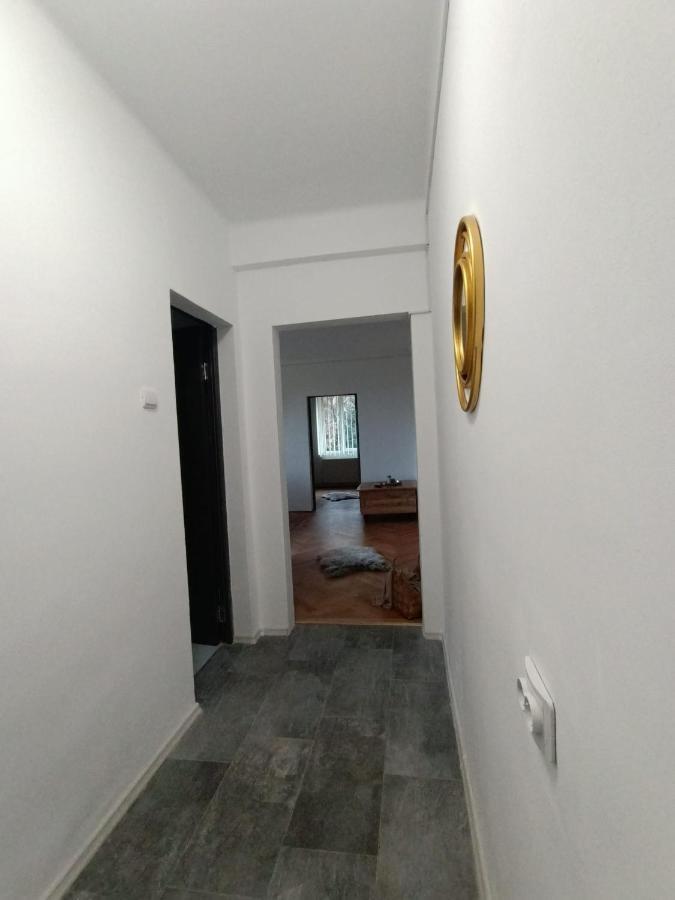 Vintage Gray Apartament Brașov Exterior foto